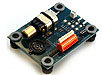 esu51900 copy.jpg